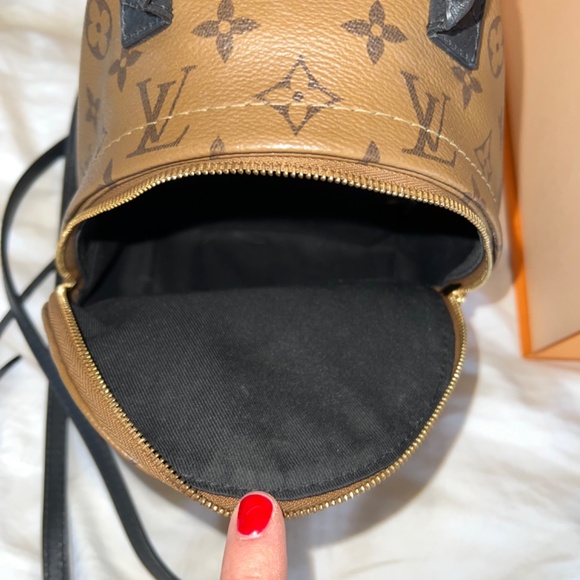 Louis Vuitton Palm Springs backpack